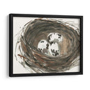 Huevos De Anidación I - Samuel Dixon | Cuadro decorativo de Canvas Lab