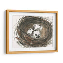 Huevos De Anidación I - Samuel Dixon | Cuadro decorativo de Canvas Lab
