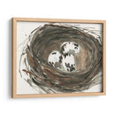 Huevos De Anidación I - Samuel Dixon | Cuadro decorativo de Canvas Lab