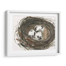 Huevos De Anidación I - Samuel Dixon | Cuadro decorativo de Canvas Lab