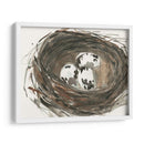Huevos De Anidación I - Samuel Dixon | Cuadro decorativo de Canvas Lab