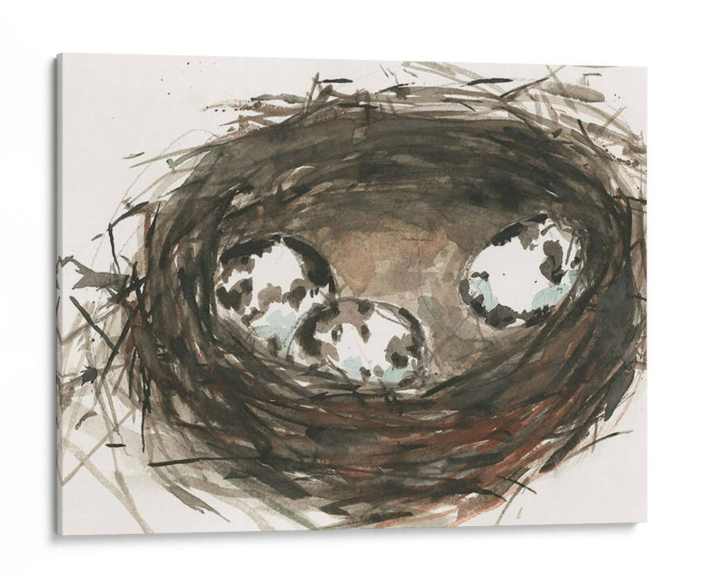 Huevos De Anidación Ii - Samuel Dixon | Cuadro decorativo de Canvas Lab