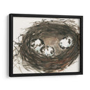 Huevos De Anidación Ii - Samuel Dixon | Cuadro decorativo de Canvas Lab
