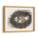 Huevos De Anidación Ii - Samuel Dixon | Cuadro decorativo de Canvas Lab