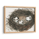 Huevos De Anidación Ii - Samuel Dixon | Cuadro decorativo de Canvas Lab