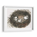 Huevos De Anidación Ii - Samuel Dixon | Cuadro decorativo de Canvas Lab