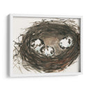 Huevos De Anidación Ii - Samuel Dixon | Cuadro decorativo de Canvas Lab