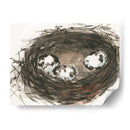 Huevos De Anidación Ii - Samuel Dixon | Cuadro decorativo de Canvas Lab