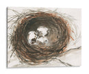 Huevos De Anidación Iii - Samuel Dixon | Cuadro decorativo de Canvas Lab