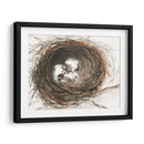 Huevos De Anidación Iii - Samuel Dixon | Cuadro decorativo de Canvas Lab