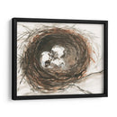 Huevos De Anidación Iii - Samuel Dixon | Cuadro decorativo de Canvas Lab