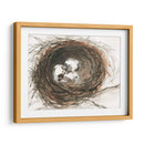Huevos De Anidación Iii - Samuel Dixon | Cuadro decorativo de Canvas Lab