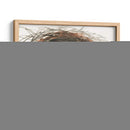 Huevos De Anidación Iii - Samuel Dixon | Cuadro decorativo de Canvas Lab