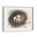 Huevos De Anidación Iii - Samuel Dixon | Cuadro decorativo de Canvas Lab