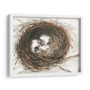 Huevos De Anidación Iii - Samuel Dixon | Cuadro decorativo de Canvas Lab