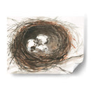 Huevos De Anidación Iii - Samuel Dixon | Cuadro decorativo de Canvas Lab