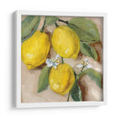 Con El Sol I - Melissa Wang | Cuadro decorativo de Canvas Lab