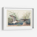Pl. 289 Solitary Sandpiper - John James Audubon | Cuadro decorativo de Canvas Lab