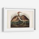 Pl. 337 American Bittern - John James Audubon | Cuadro decorativo de Canvas Lab