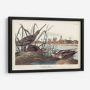 Pl. 243 Snipe Americano - John James Audubon | Cuadro decorativo de Canvas Lab