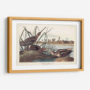 Pl. 243 Snipe Americano - John James Audubon | Cuadro decorativo de Canvas Lab