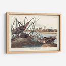 Pl. 243 Snipe Americano - John James Audubon | Cuadro decorativo de Canvas Lab