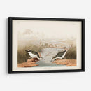 Pl. 310 Sandpiper Manchado - John James Audubon | Cuadro decorativo de Canvas Lab