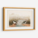 Pl. 310 Sandpiper Manchado - John James Audubon | Cuadro decorativo de Canvas Lab
