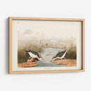 Pl. 310 Sandpiper Manchado - John James Audubon | Cuadro decorativo de Canvas Lab