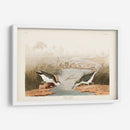Pl. 310 Sandpiper Manchado - John James Audubon | Cuadro decorativo de Canvas Lab