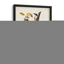Pl. 132 Carpintero De Tres Dedos - John James Audubon | Cuadro decorativo de Canvas Lab