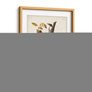 Pl. 132 Carpintero De Tres Dedos - John James Audubon | Cuadro decorativo de Canvas Lab