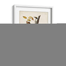 Pl. 132 Carpintero De Tres Dedos - John James Audubon | Cuadro decorativo de Canvas Lab