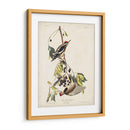 Pl. 190 Pájaro Carpintero Amarillo - John James Audubon | Cuadro decorativo de Canvas Lab