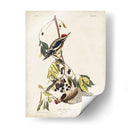 Pl. 190 Pájaro Carpintero Amarillo - John James Audubon | Cuadro decorativo de Canvas Lab