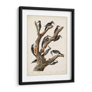 Pl. 417 Marías Pájaro Carpintero - John James Audubon | Cuadro decorativo de Canvas Lab