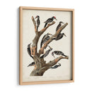Pl. 417 Marías Pájaro Carpintero - John James Audubon | Cuadro decorativo de Canvas Lab