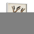 Pl. 417 Marías Pájaro Carpintero - John James Audubon | Cuadro decorativo de Canvas Lab