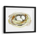 Acuarela Nido I - Jennifer Goldberger | Cuadro decorativo de Canvas Lab