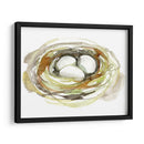 Acuarela Nido I - Jennifer Goldberger | Cuadro decorativo de Canvas Lab