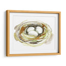 Acuarela Nido I - Jennifer Goldberger | Cuadro decorativo de Canvas Lab