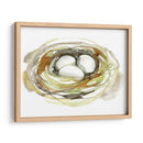 Acuarela Nido I - Jennifer Goldberger | Cuadro decorativo de Canvas Lab