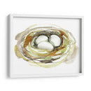 Acuarela Nido I - Jennifer Goldberger | Cuadro decorativo de Canvas Lab