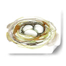 Acuarela Nido I - Jennifer Goldberger | Cuadro decorativo de Canvas Lab