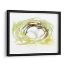 Acuarela Nido Ii - Jennifer Goldberger | Cuadro decorativo de Canvas Lab