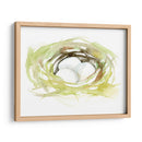 Acuarela Nido Ii - Jennifer Goldberger | Cuadro decorativo de Canvas Lab