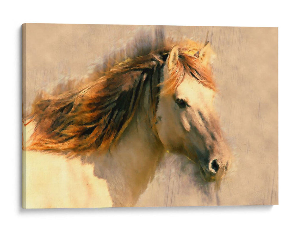 Caballo Mezclado - Leticia Herrera | Cuadro decorativo de Canvas Lab