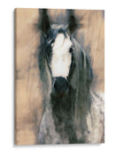 Caballo Mezclado Ii - Leticia Herrera | Cuadro decorativo de Canvas Lab