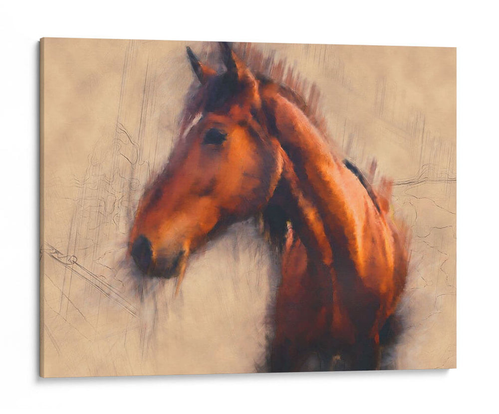 Caballo Mezclado Iii - Leticia Herrera | Cuadro decorativo de Canvas Lab