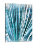 Esencia De Vegetación Ii - Paul McCreery | Cuadro decorativo de Canvas Lab